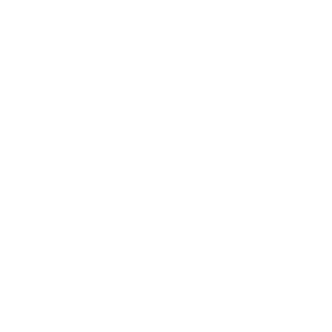 Icon obstetric white