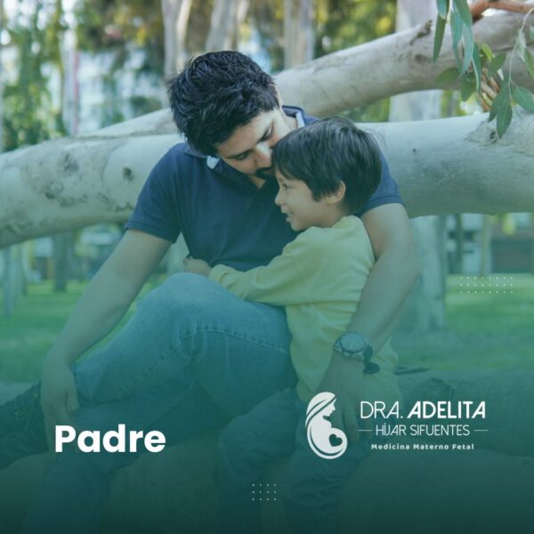 WhatsApp Image 2024 06 16 at 16 24 26